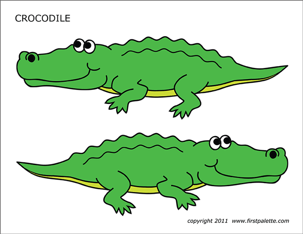 Printable Colored Crocodile