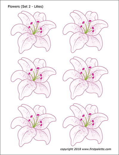 Printable Colored Flower Set 2 - Lilies