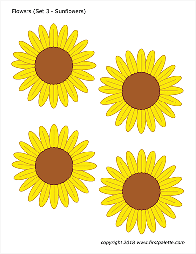 Printable Colored Flower Set 3 - Sunflowers