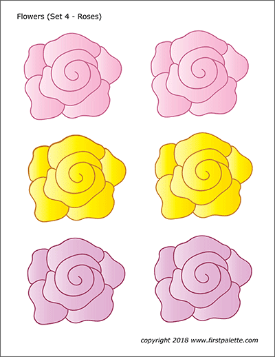 Printable Colored Flower Set 4 - Roses