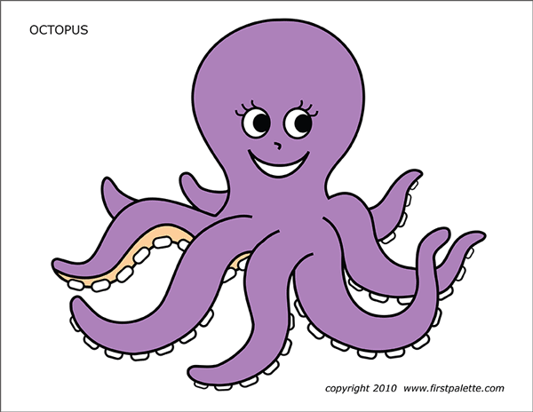 Printable Colored Octopus