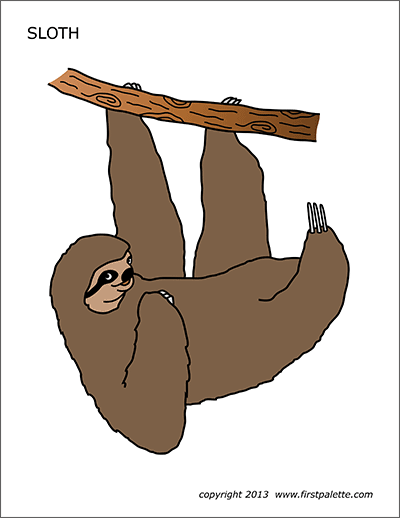 Printable Colored Sloth
