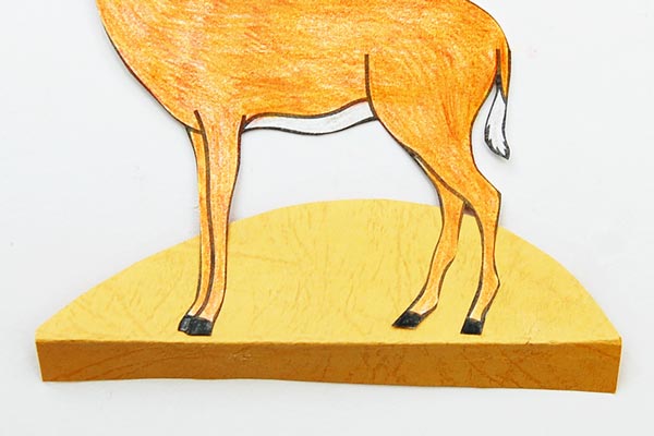 STEP 10c African Savanna Diorama