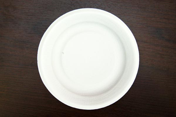 STEP 1 Paper Plate Animals
