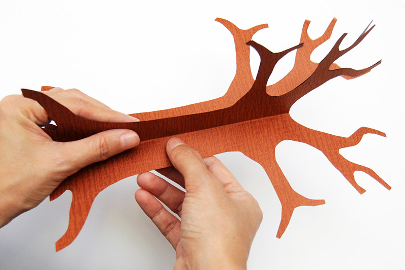 3D Paper Tree Craft