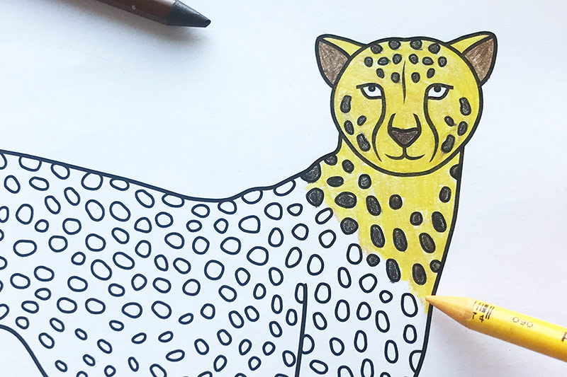 Cheetah Coloring Page