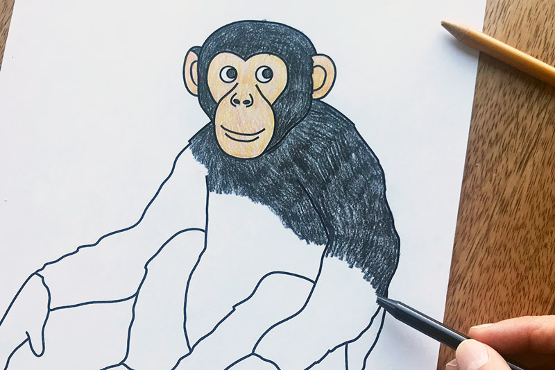 Chimpanzee Coloring Page