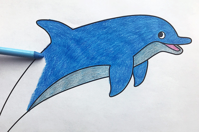 Dolphin Coloring Page