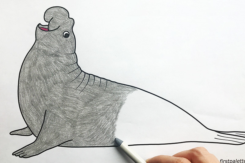 Elephant Seal Coloring Page