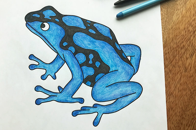 Download Posion Dart Frog | Free Printable Templates & Coloring Pages | FirstPalette.com