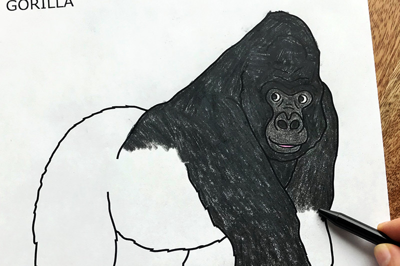 Gorilla | Free Printable Templates & Coloring Pages | FirstPalette.com