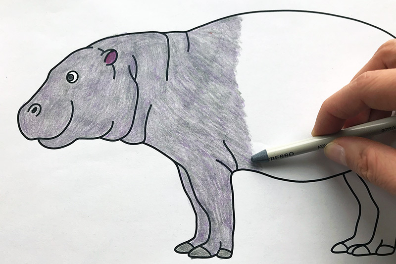 Pygmy Hippo Coloring Page