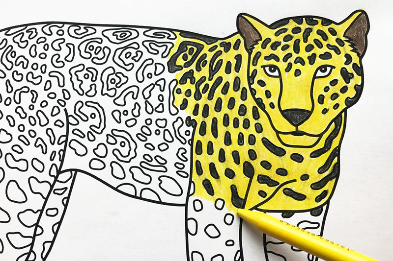 97 Top Coloring Pages Jaguar  Images