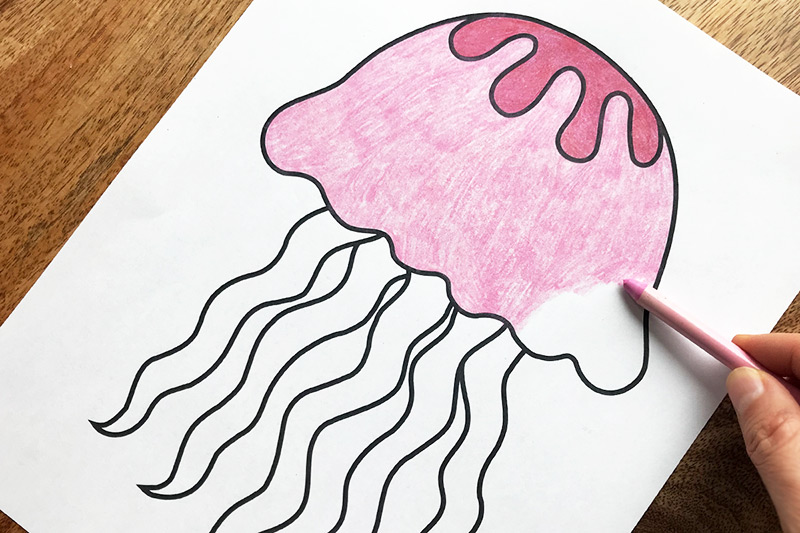 Jellyfish Coloring Page