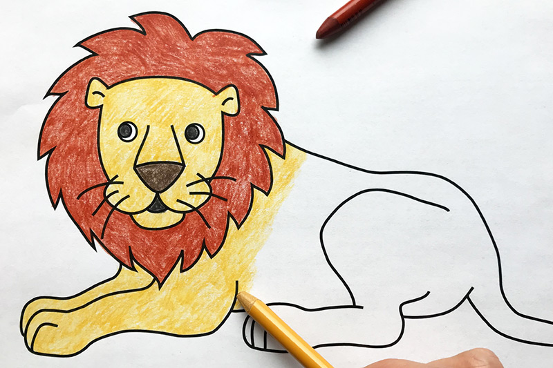 Lion Sketchbook for Kids ages 4-8 Blank Paper for Drawing.