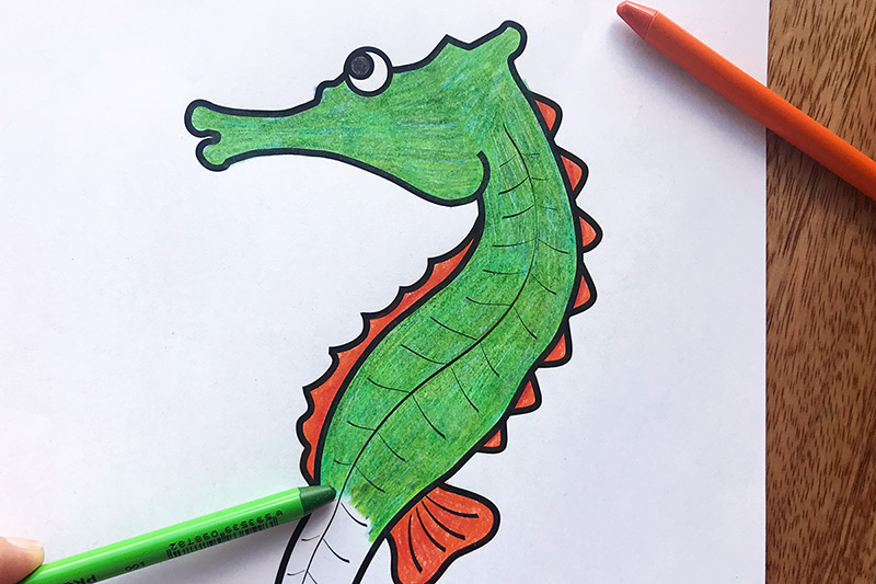 SEahorse Coloring Page