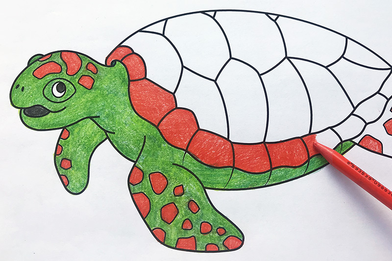 Sea Turtles | Free Printable Templates & Coloring Pages 