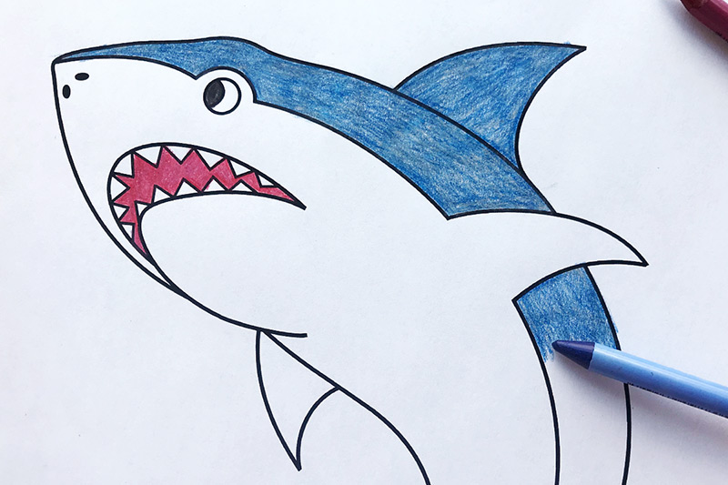 Shark Coloring Page