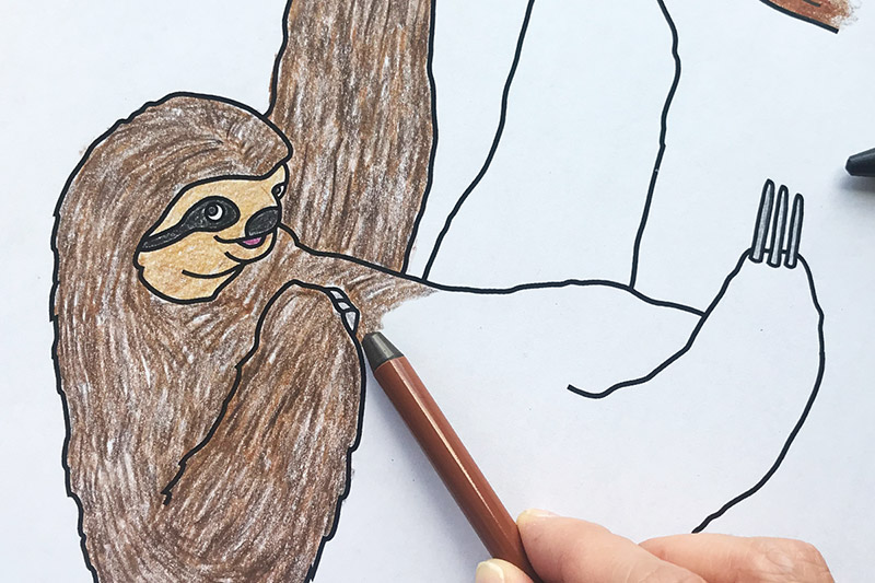 Sloth Coloring Page