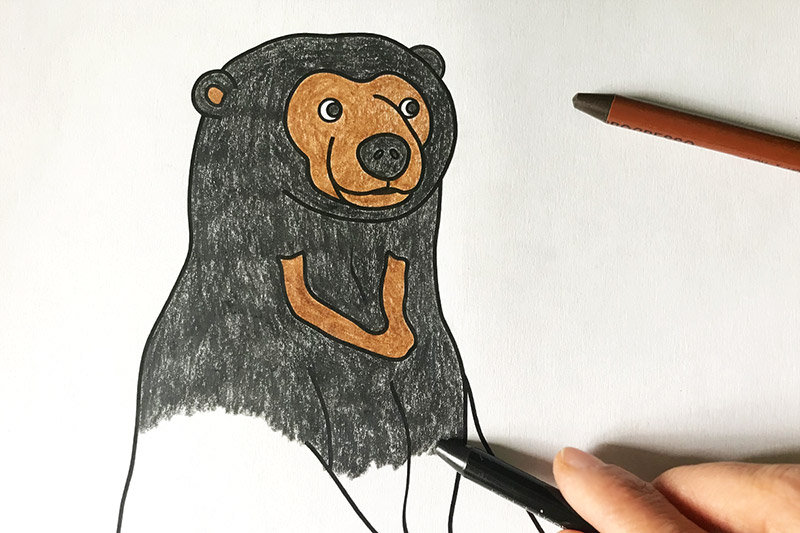 Sun Bear Free Printable Templates Coloring Pages