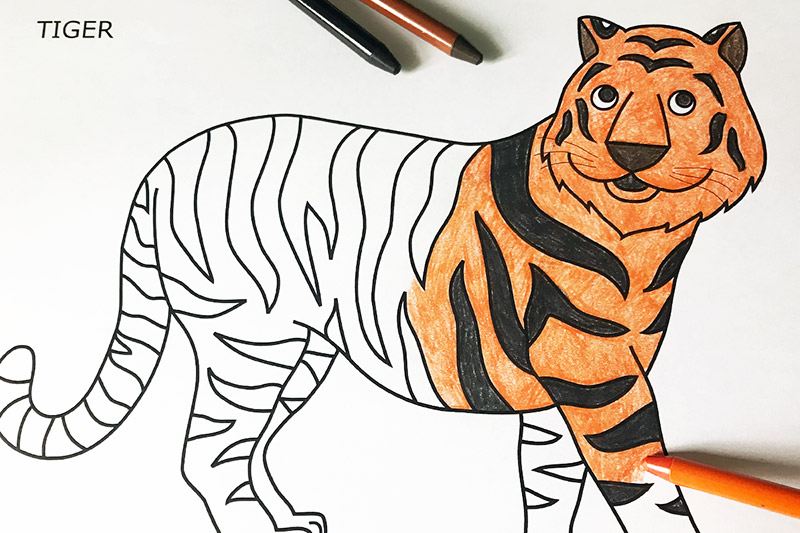 Tiger Coloring Page