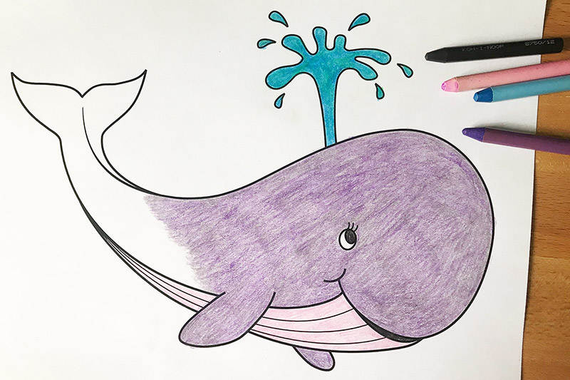 Whale Coloring Page