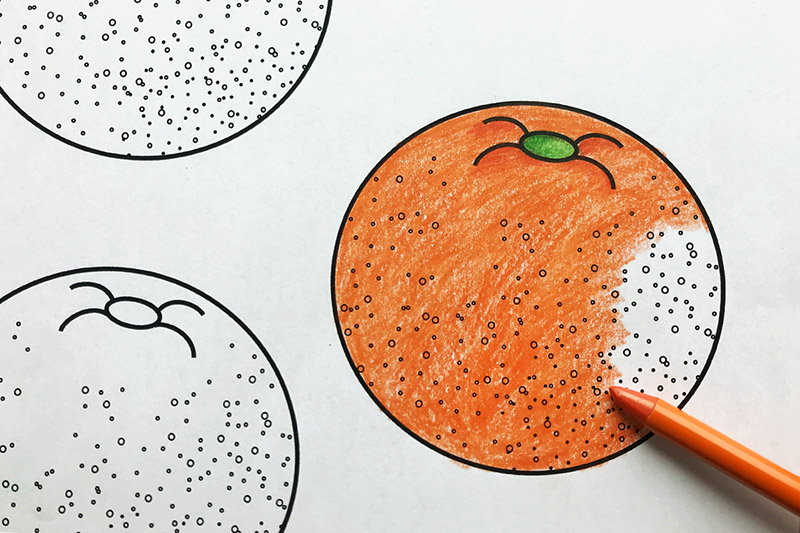 Oranges Coloring Page