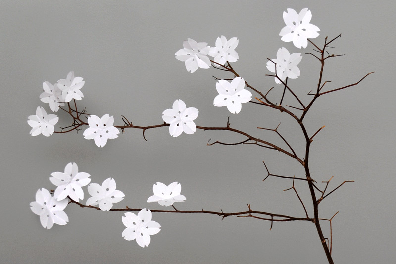 Paper Cherry Blossoms craft