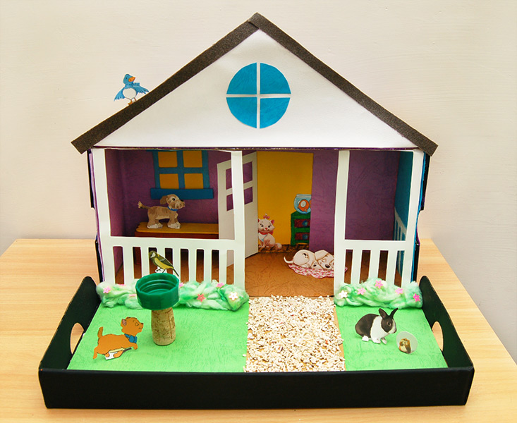 Pet Diorama craft