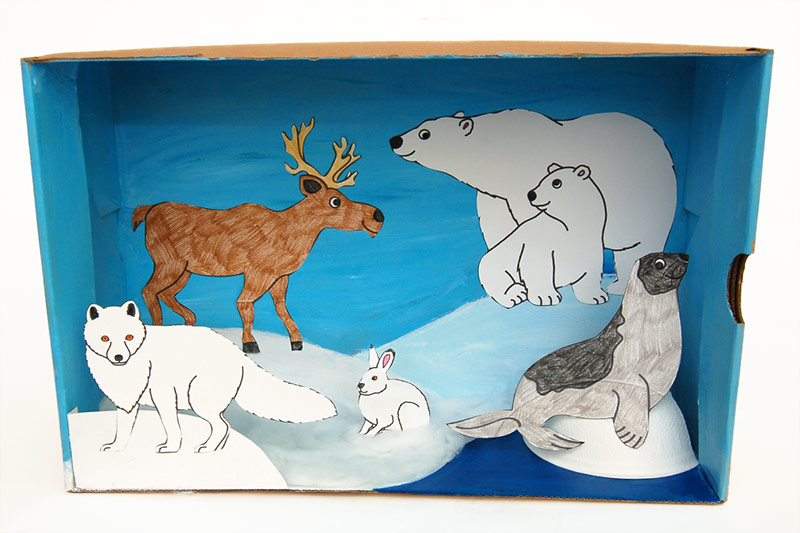 Polar Habitat Diorama craft