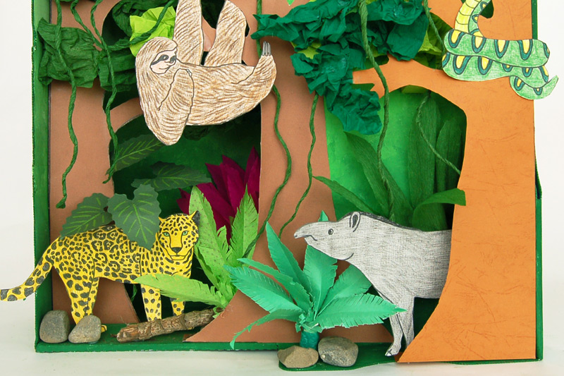 Rainforest Habitat Diorama (animals Are Printable  Rainforest project,  Rainforest crafts, Rainforest habitat