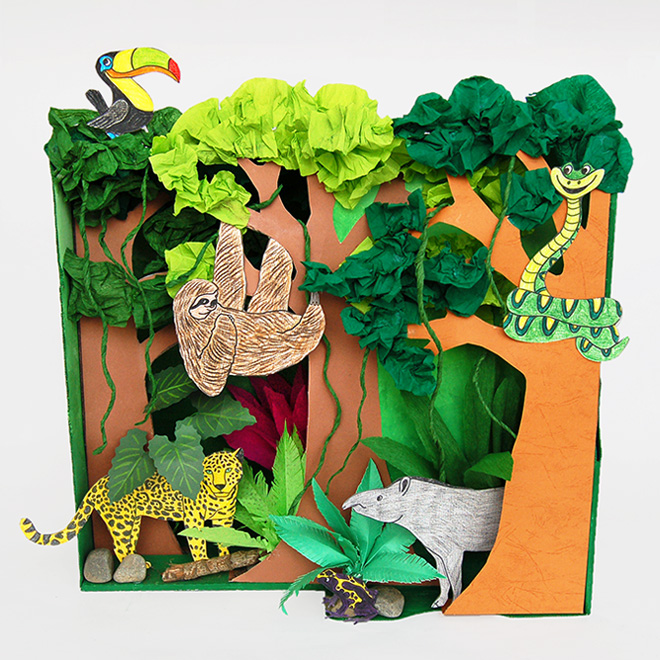 Evergreen Forest Diorama (Create-A-Scene® Habitat Diorama Kit)