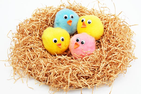 Baby Birds in a Nest craft