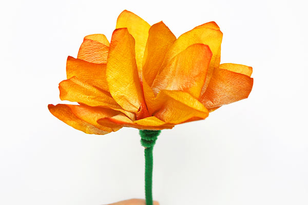 Coffee Filter Flowers craft