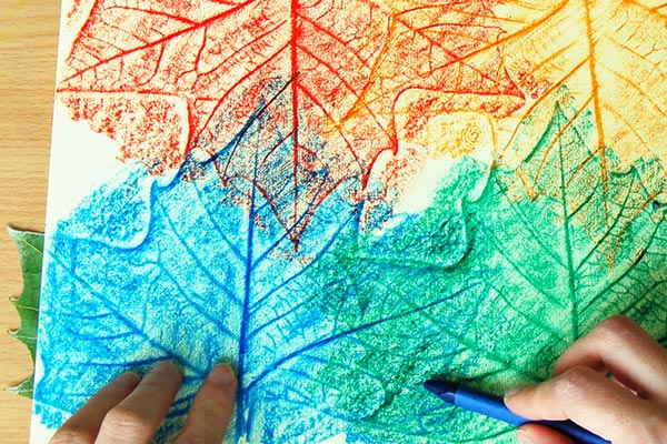 Leaf Rubbings