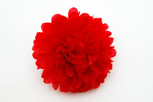 Tissue Paper Pom-pom Flowers craft