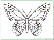 Butterfly template
