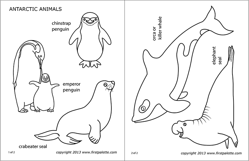Antarctic Polar Animals | Free Printable Templates & Coloring Pages |  