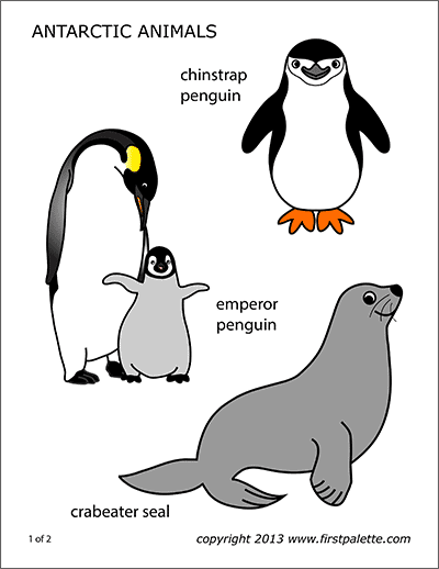 Penguin Template Cut Out from www.firstpalette.com