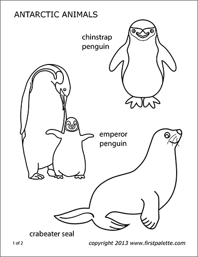 Printable Antarctic Polar Animals
