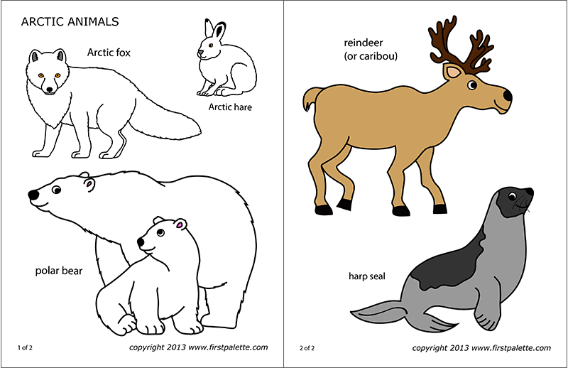 Arctic Polar Animals Free Printable Templates Coloring Pages 