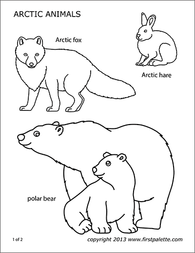 Printable Arctic Animals