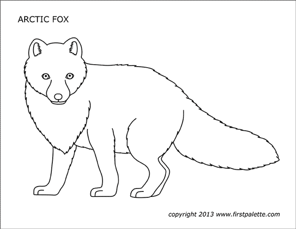 Arctic Fox Free Printable Templates Coloring Pages FirstPalette