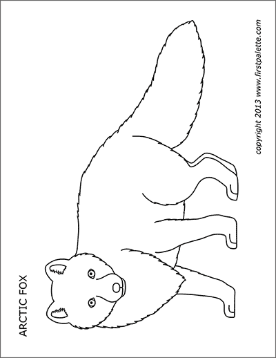 Printable Arctic Fox