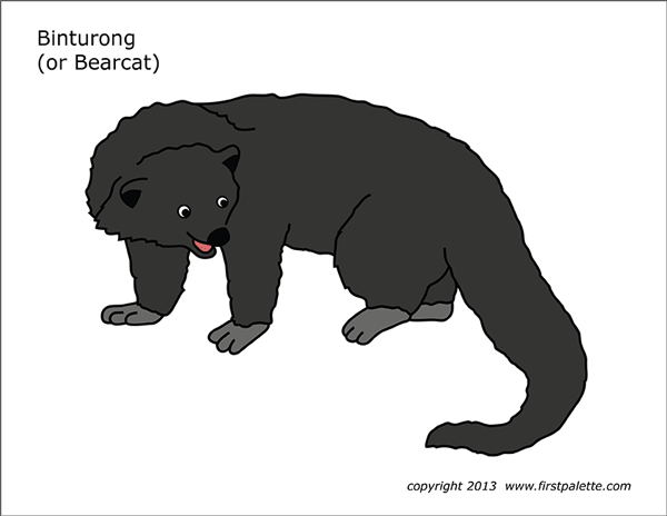 Printable Colored Bearcat or Binturong