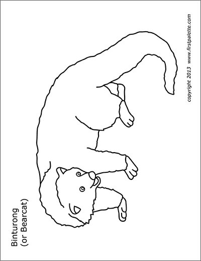 Printable Bearcat or Binturong