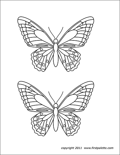 How To Draw A Butterfly Surprisingly Easy