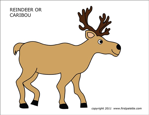 Printable Colored Caribou