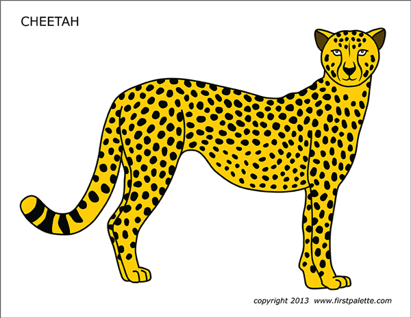 Download Cheetah | Free Printable Templates & Coloring Pages ...