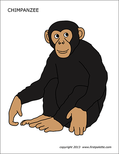 Printable Colored Chimpanzee
